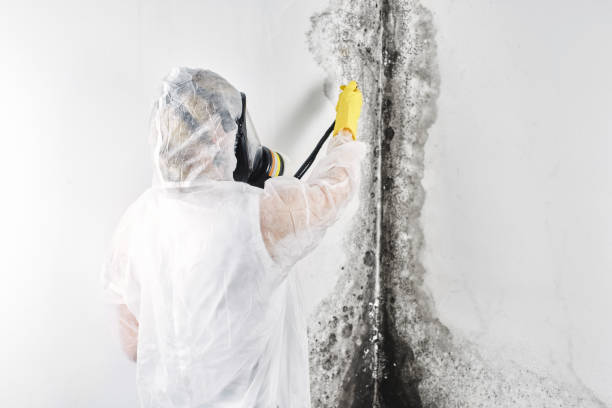 Best Residential water damage restoration  in Rutledge, TN