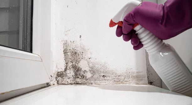 Best Emergency water damage restoration  in Rutledge, TN